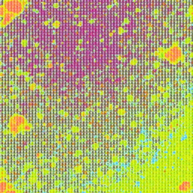 thumbnail for publication: Wetland Eutrophication: Early Warning Biogeochemical Indicators